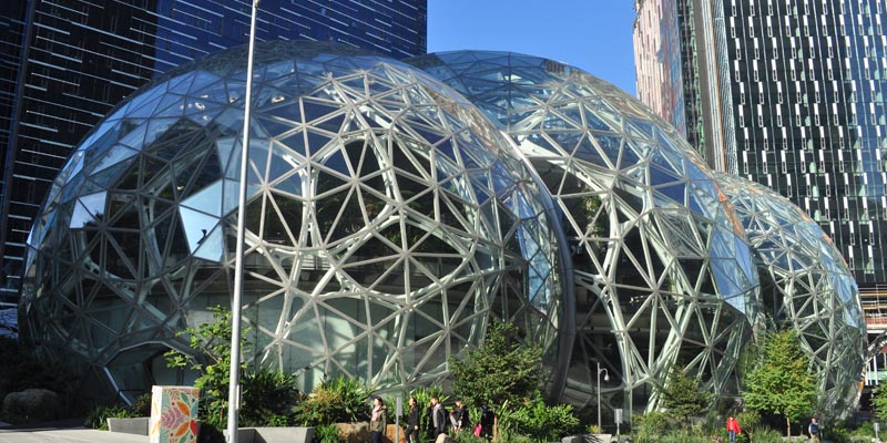 amazon
